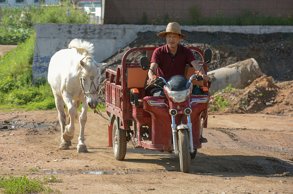 赶集路上