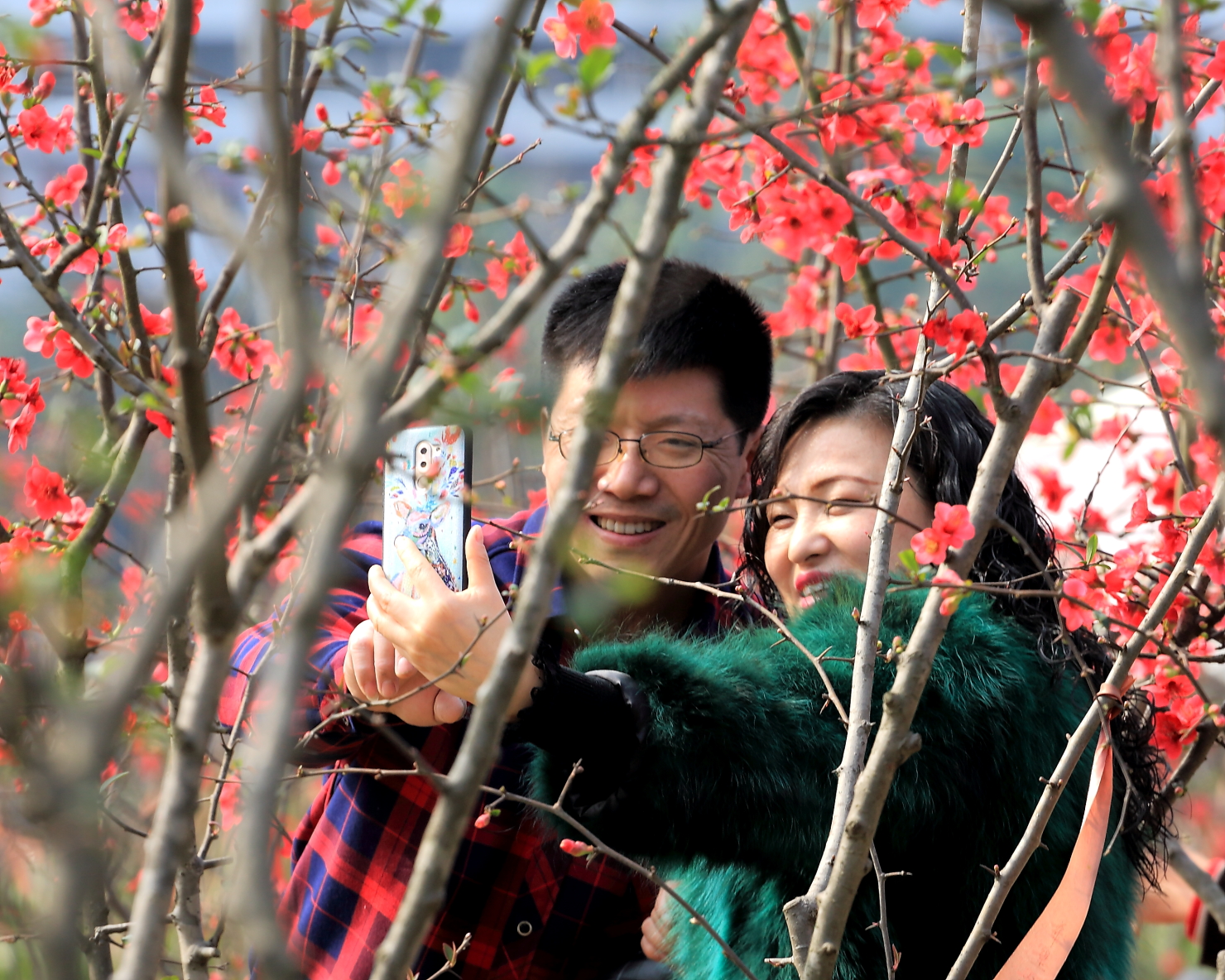 幸福像花儿一样