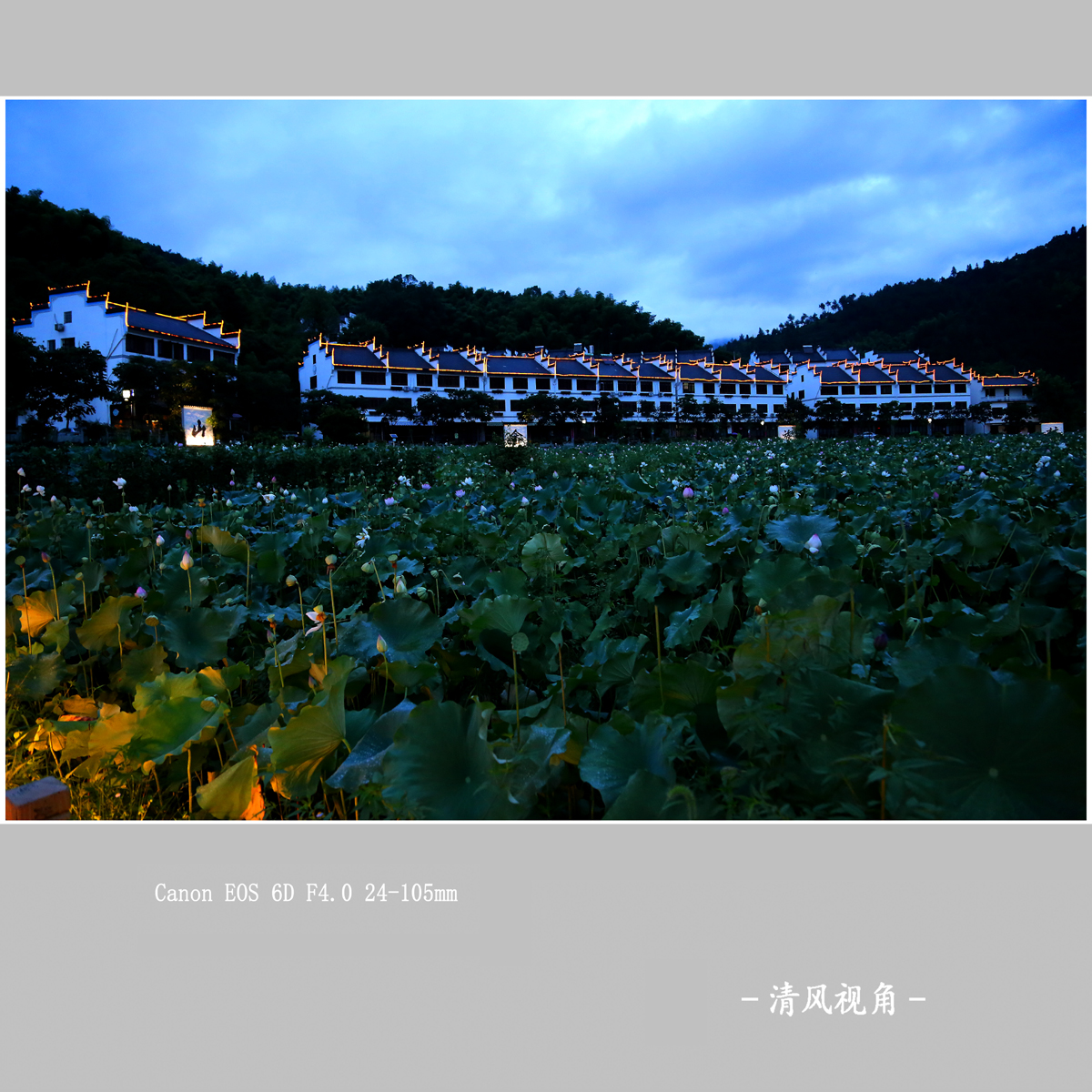 利山村_3650