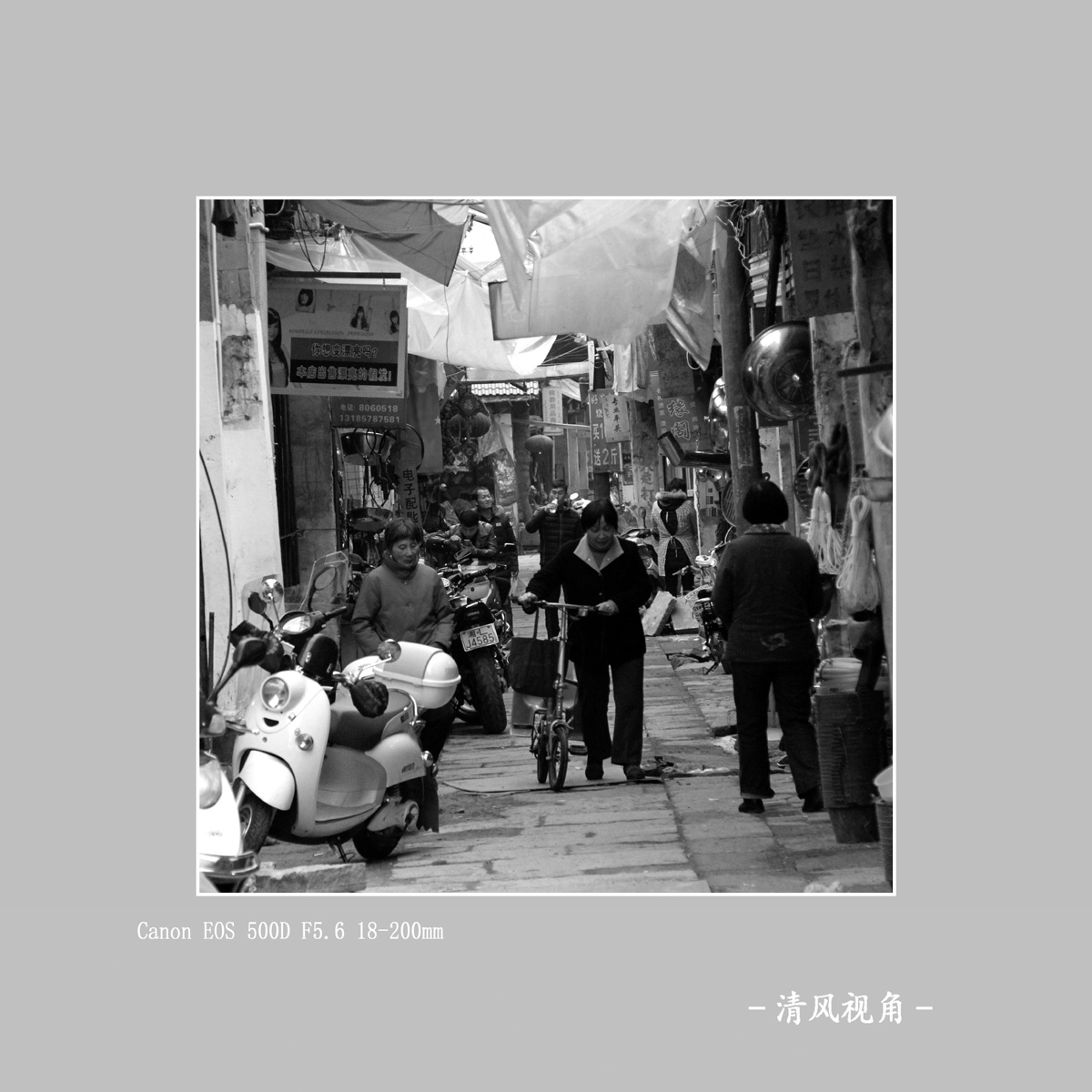 身边随拍_2438