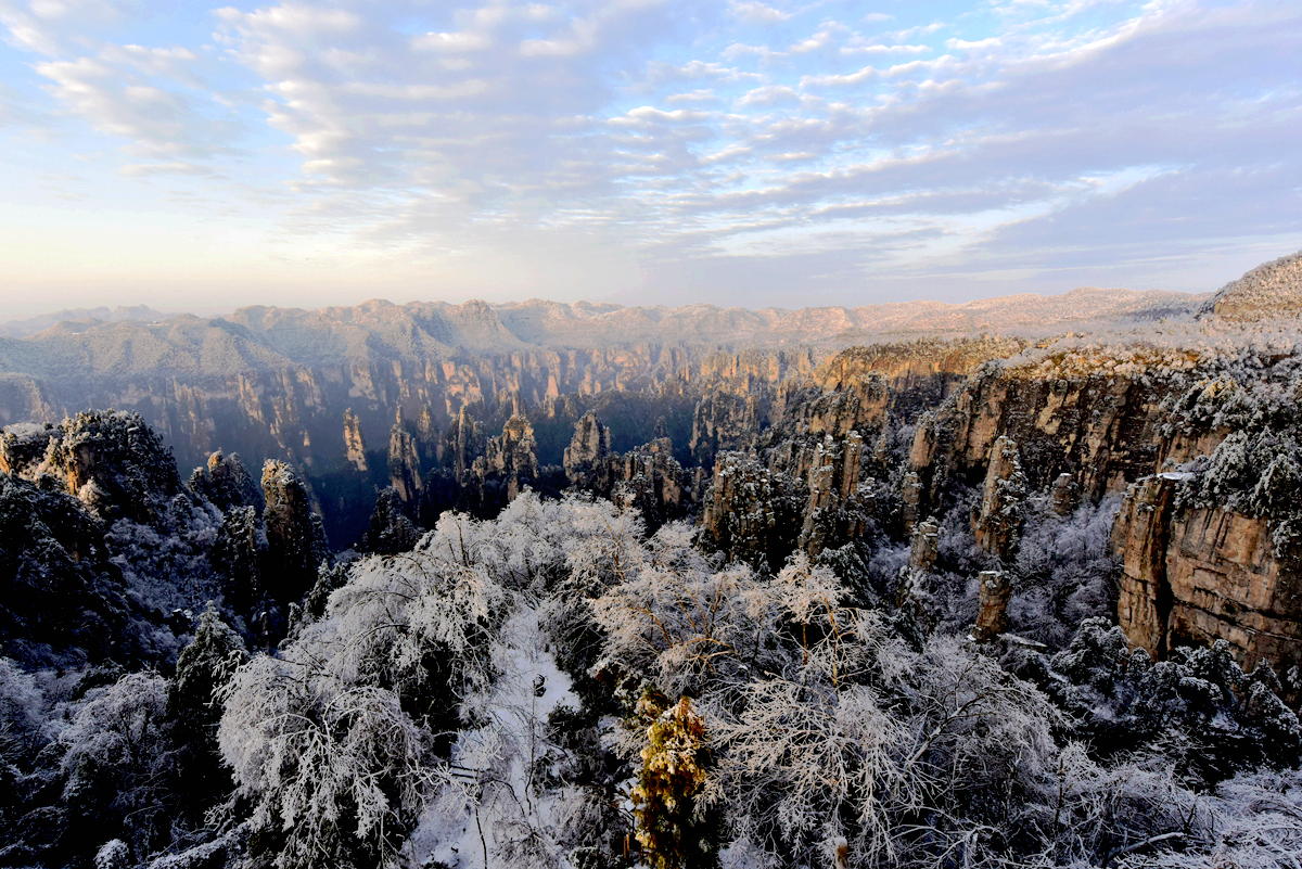 天子山雪