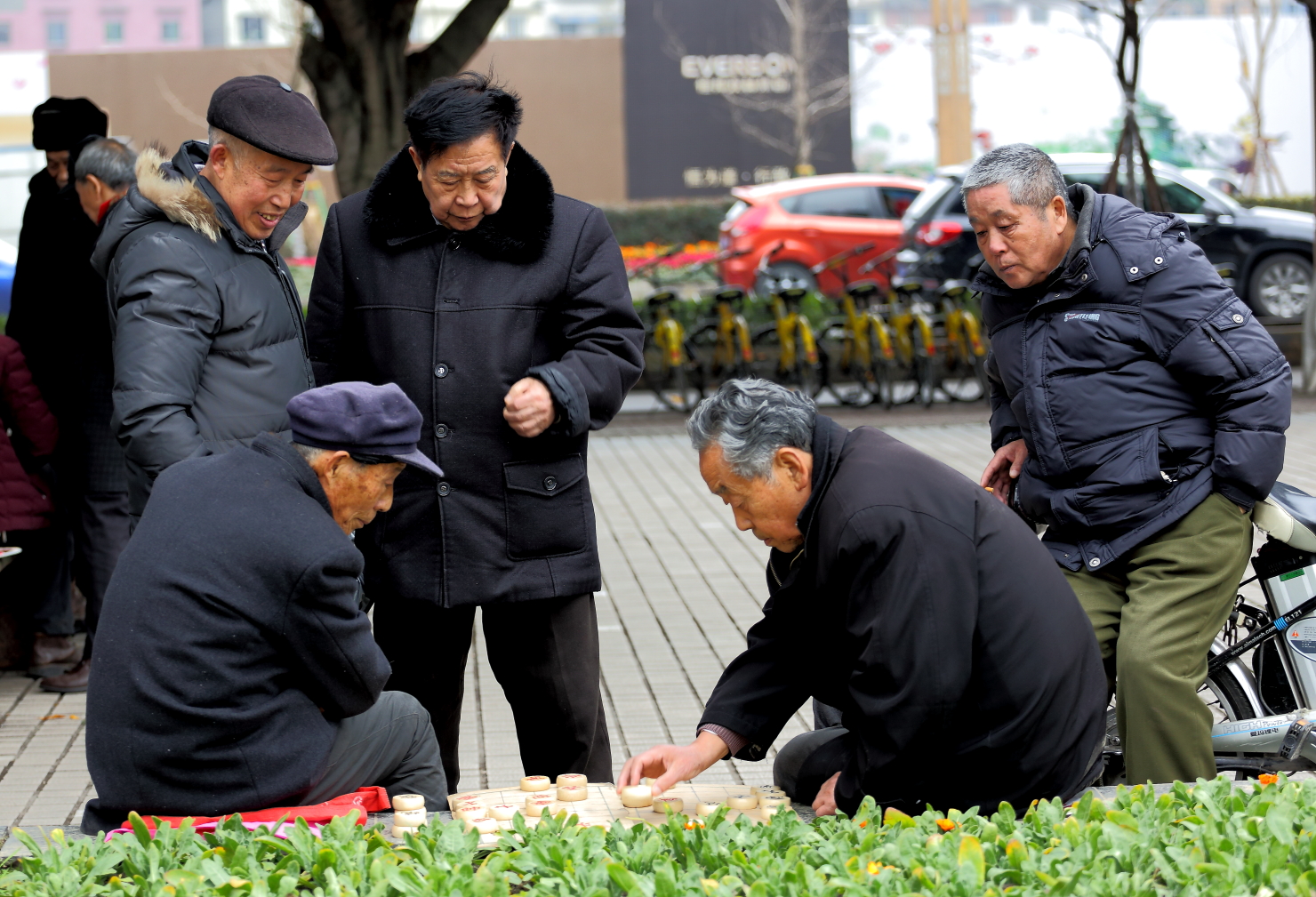 举棋不定