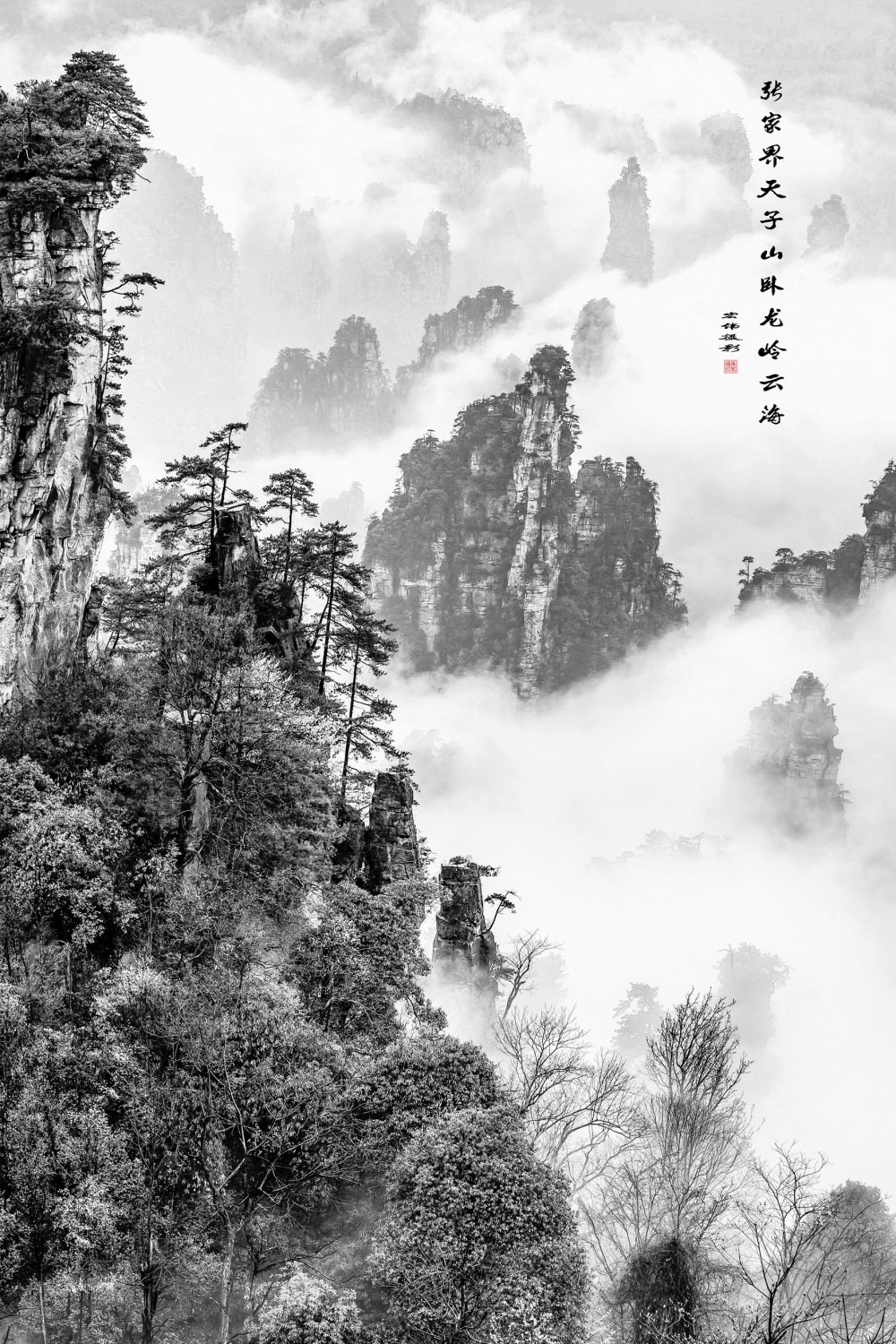 张家界天子山卧龙岭云海