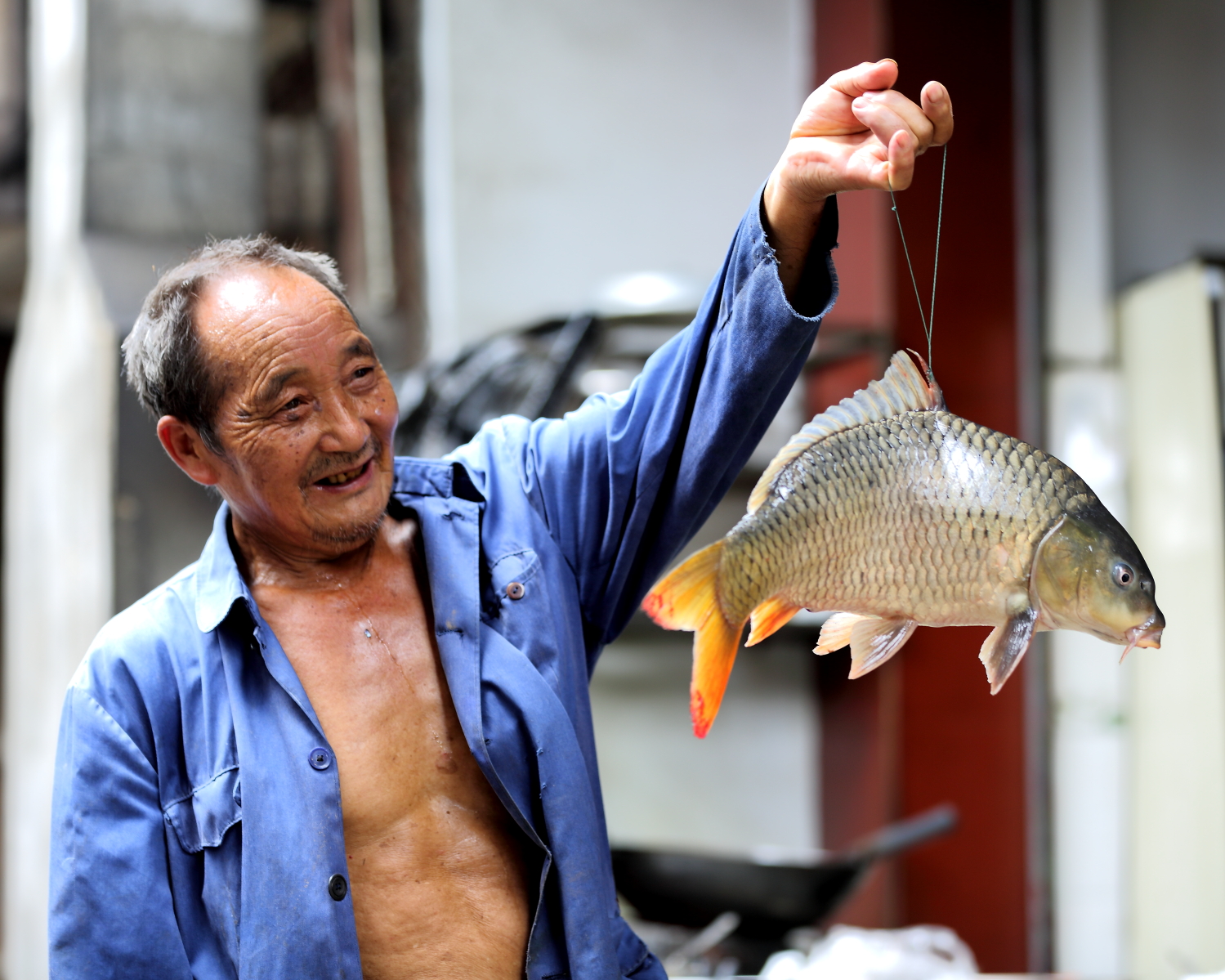 渔获锦鲤