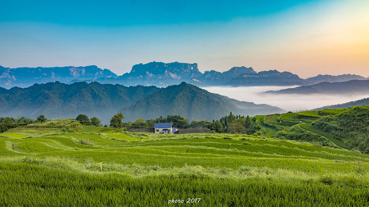 背后田园