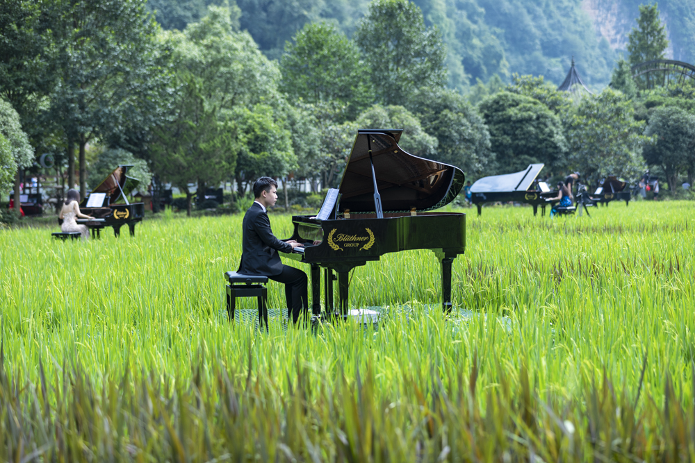 田园奏鸣曲4