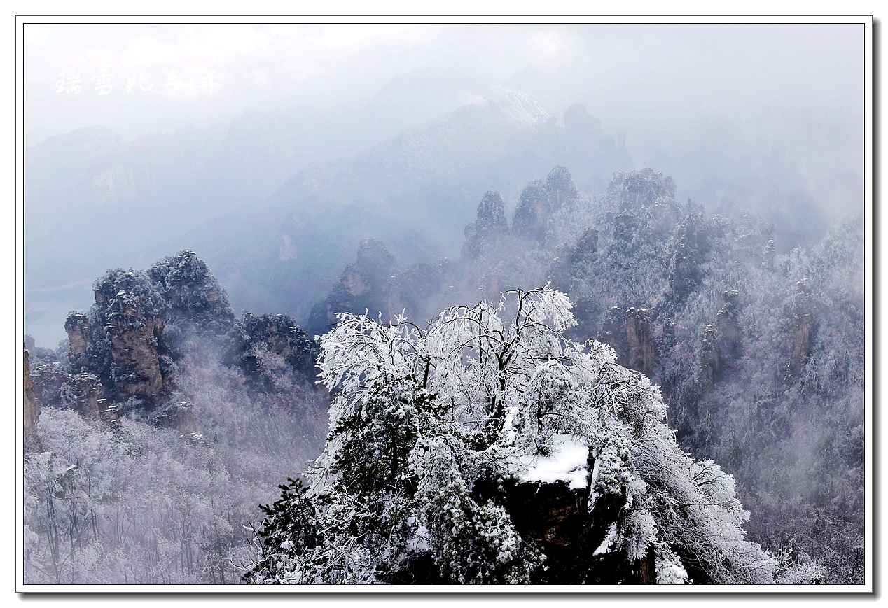 瑞雪兆丰年