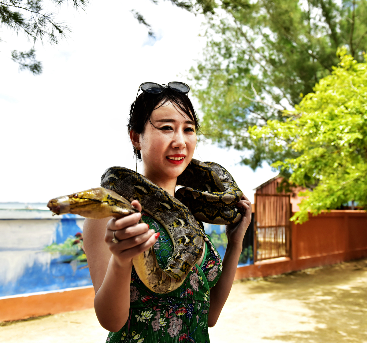 美女与蛇