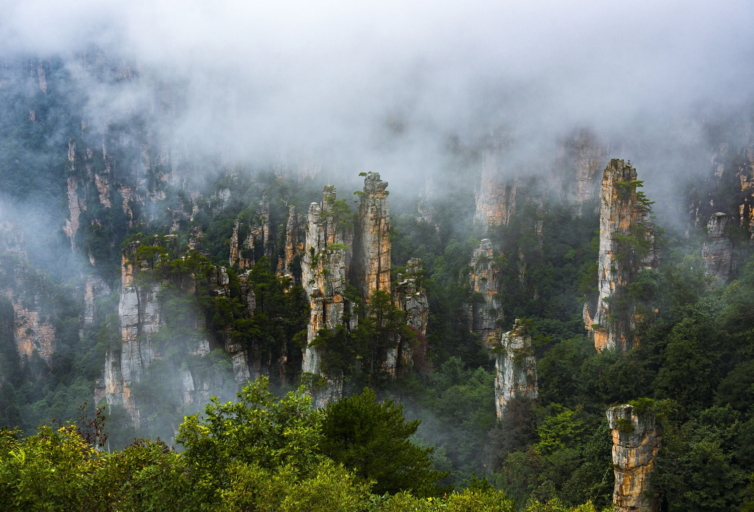 雾中峰林