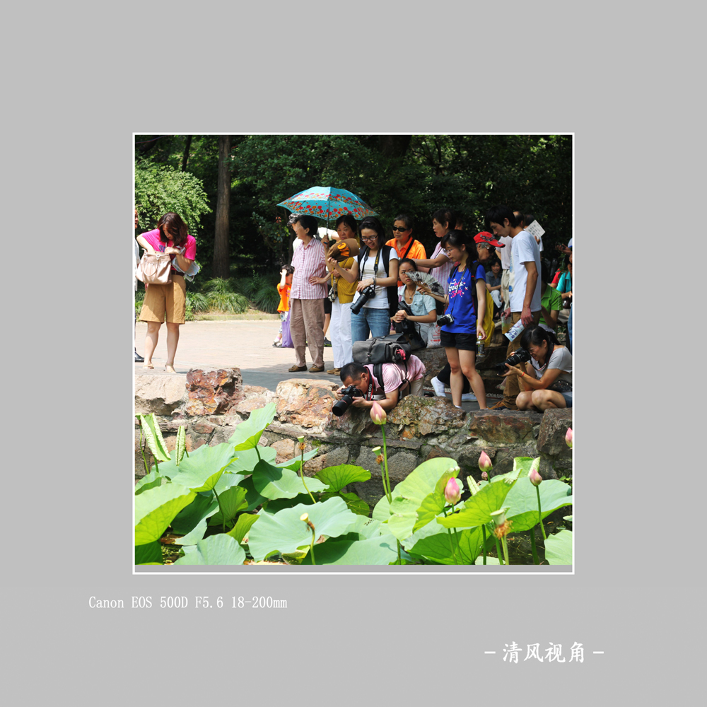 身边随拍_9804