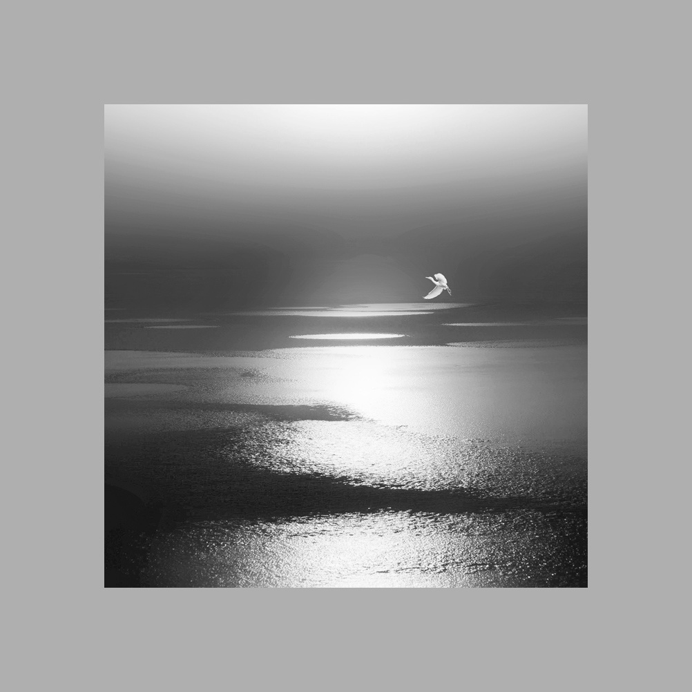 海滨