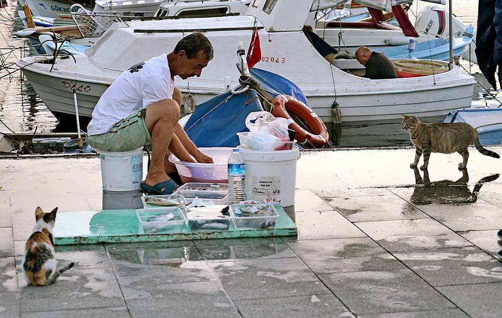 海边拾遗