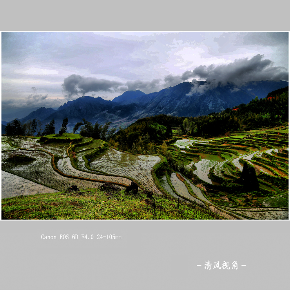 赵善村_2198