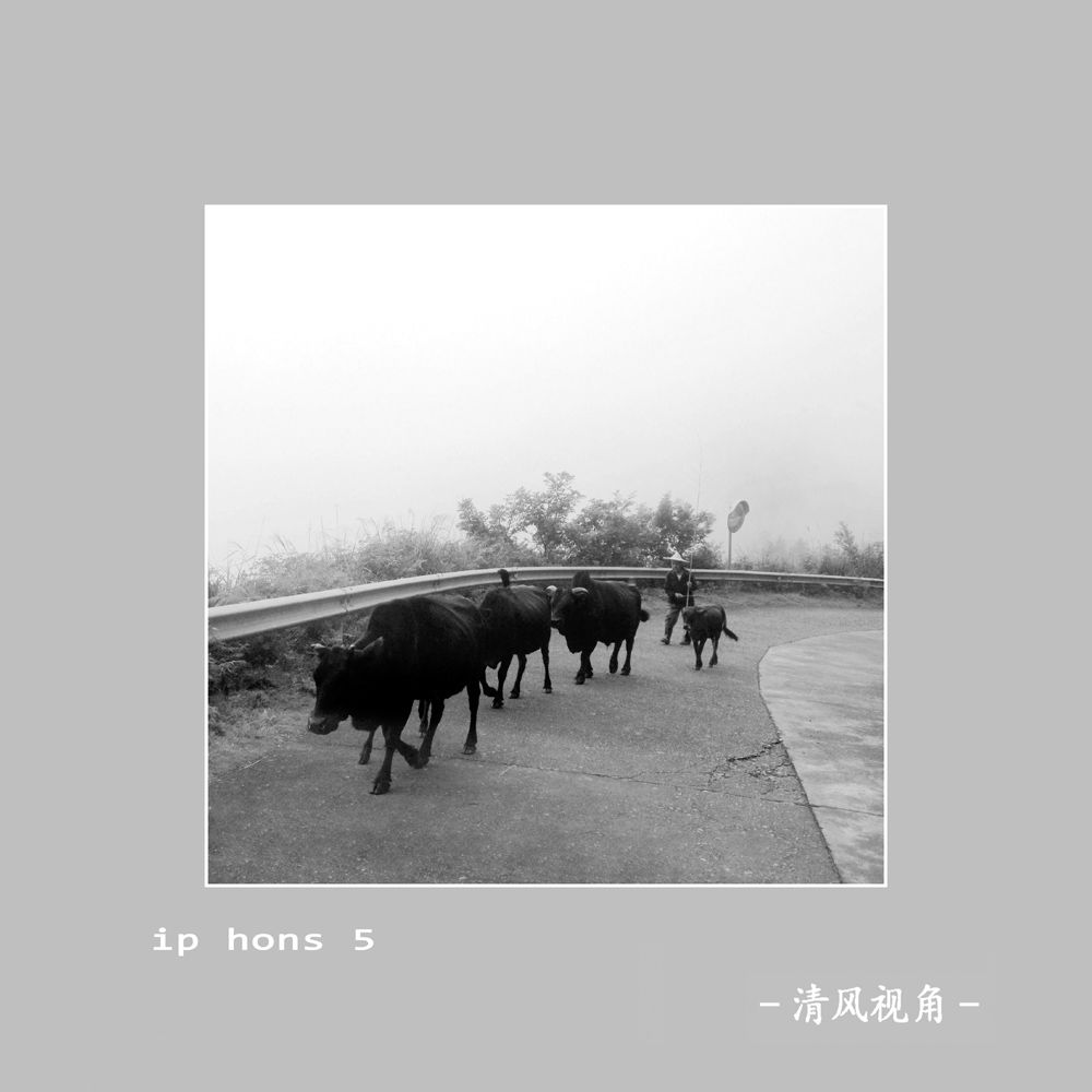 走山_8511