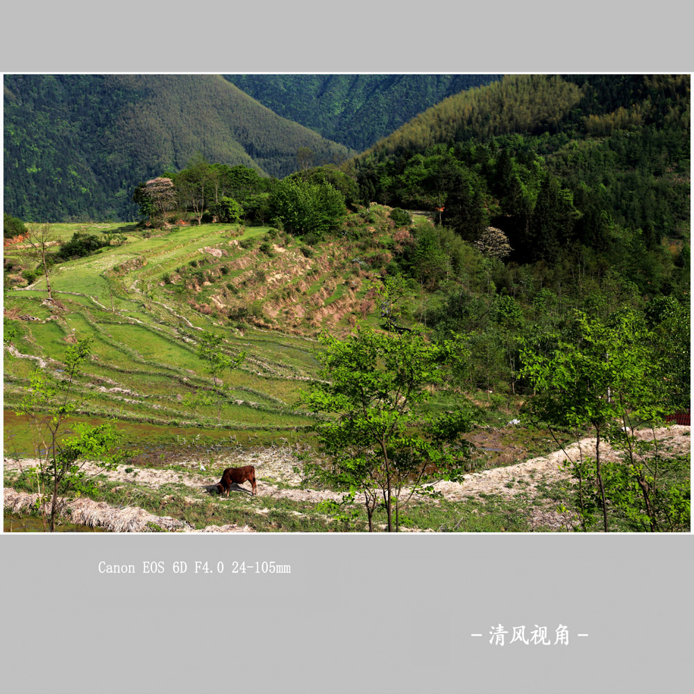 坑根村_7821