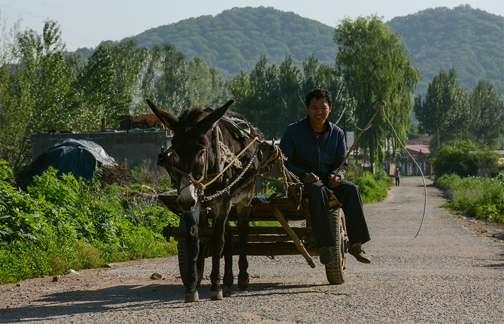 赶集路上