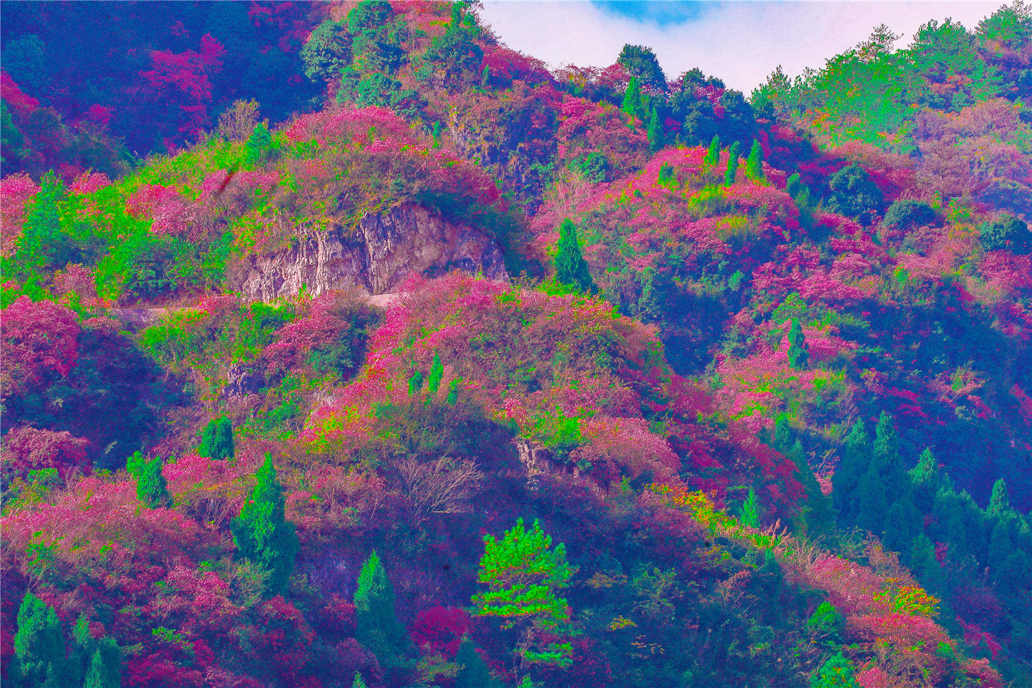 崇山秋色1