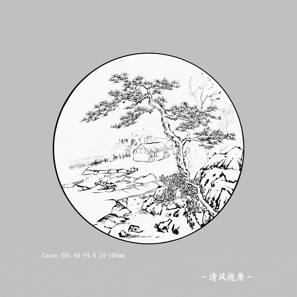 静拍_8781
