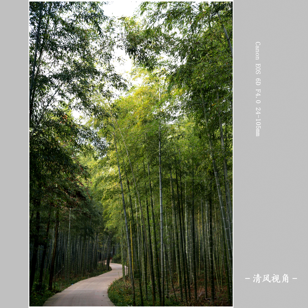 竹园_8754