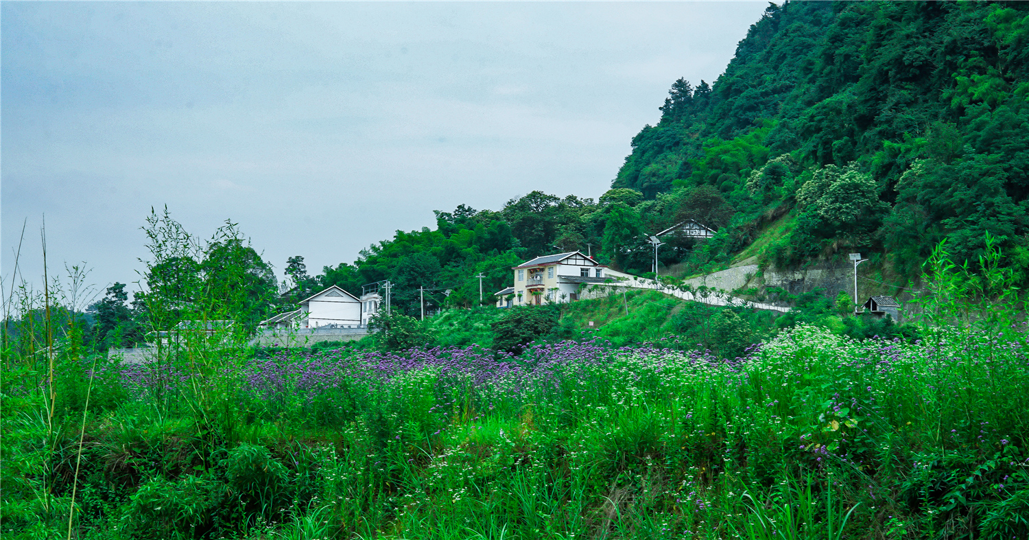 山村新貌