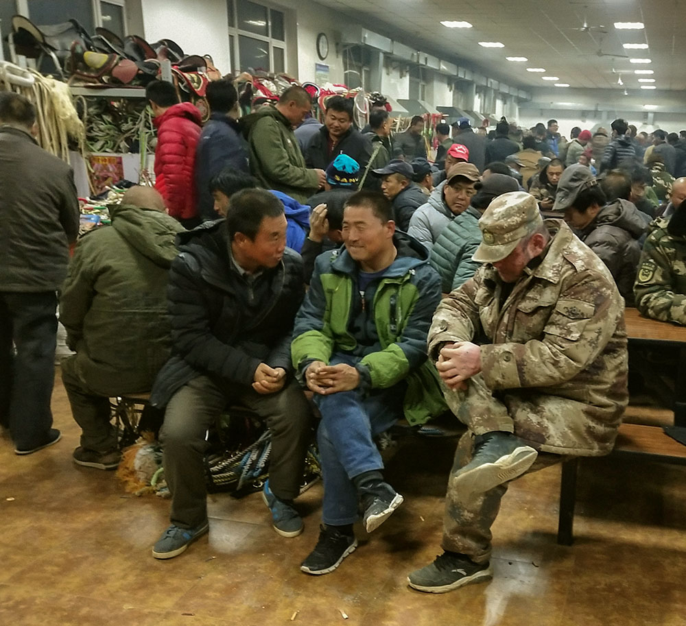 叶茂台马集纪实，等待{手机摄}