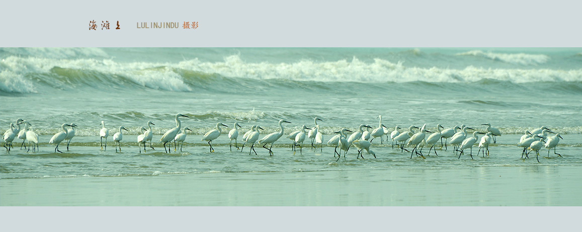 海滩上