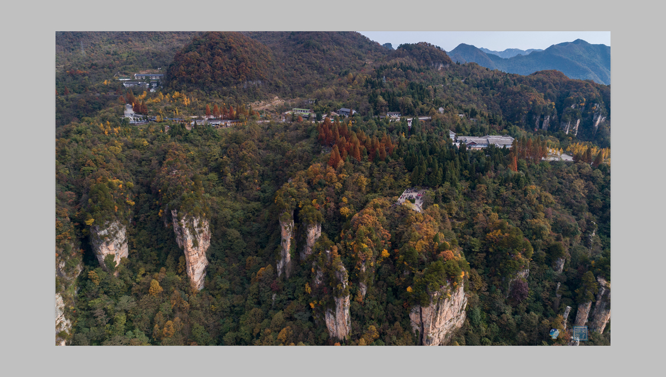 天子山秋景1