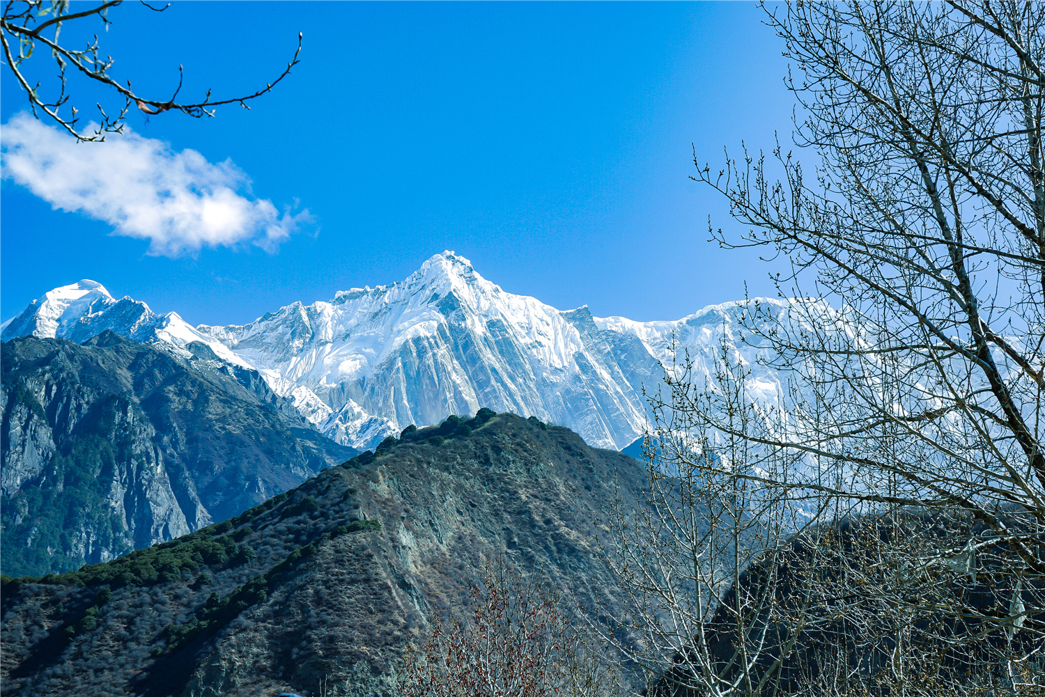 眺望雪山