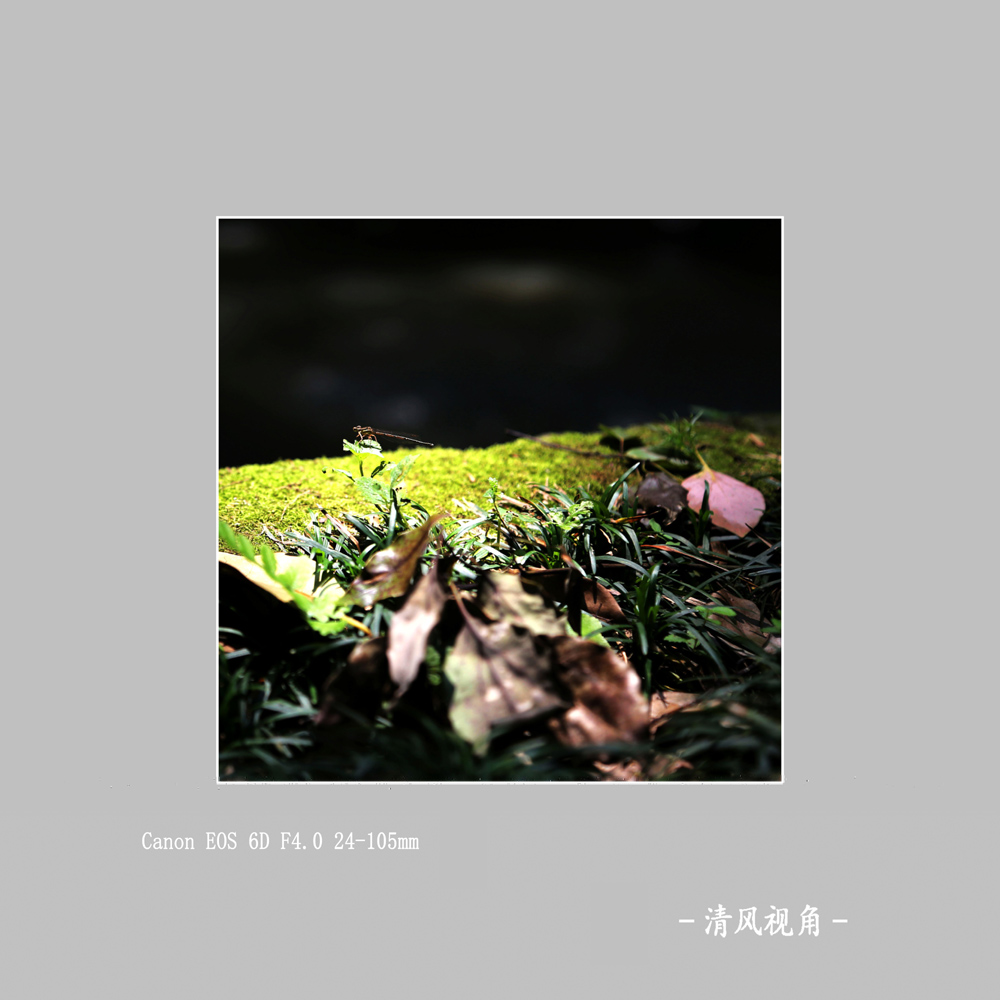 无题_3133