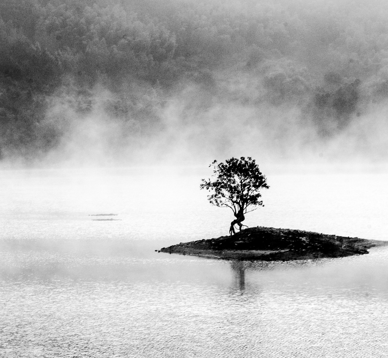 湖景