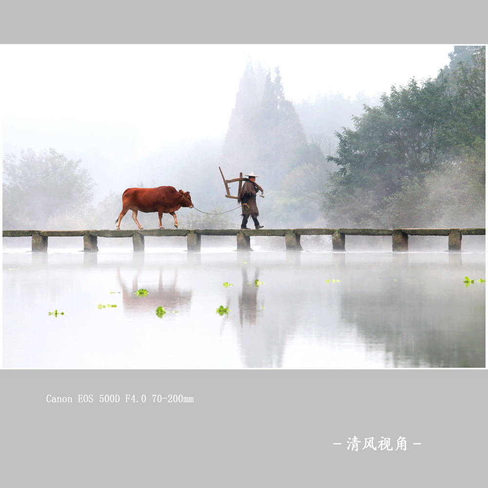 缙云仙都_0001