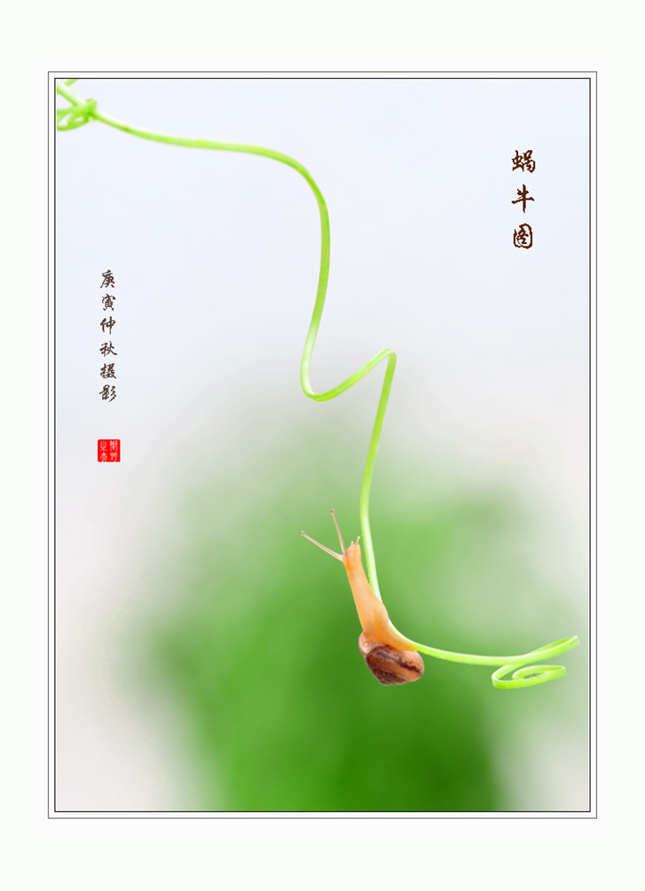 蜗牛图