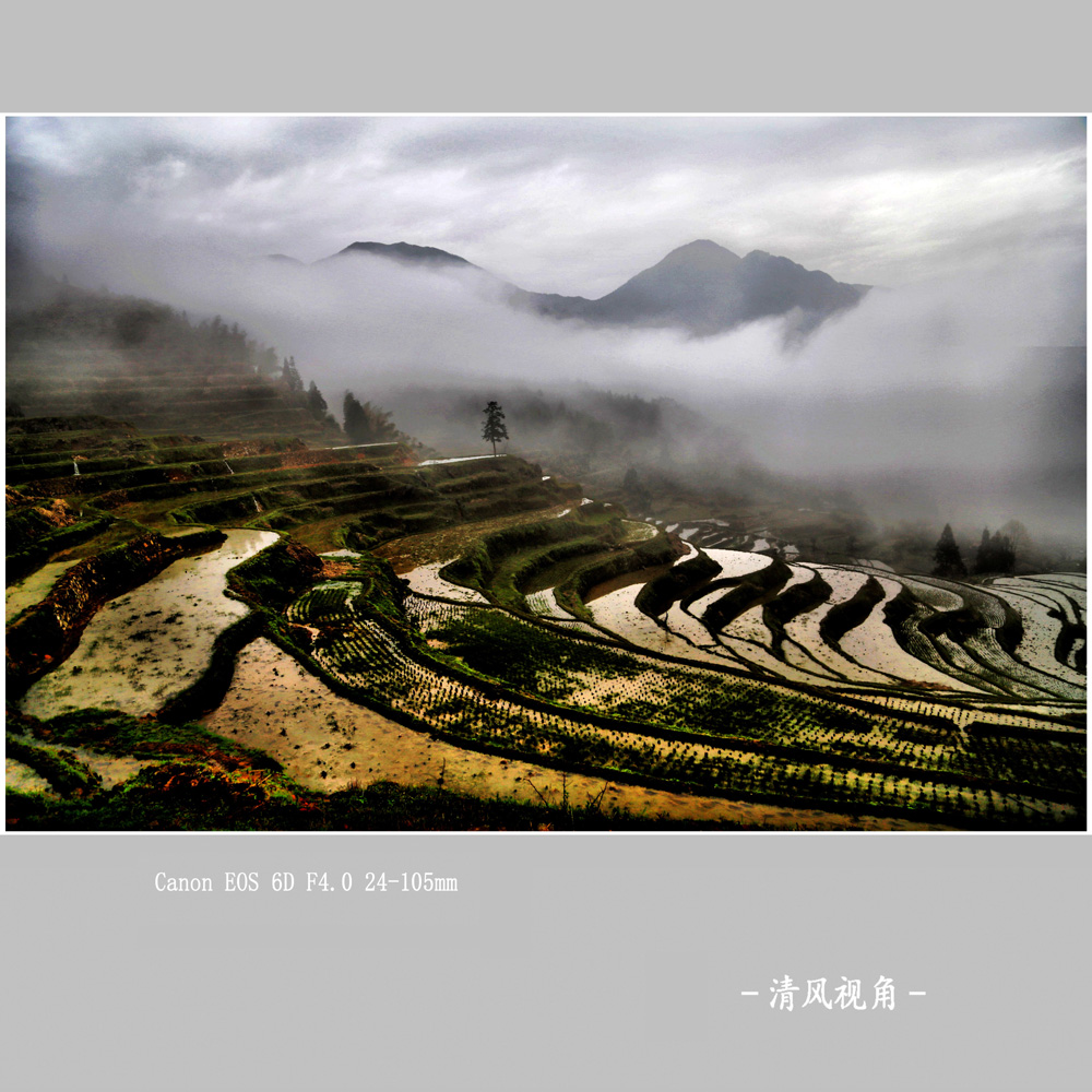 梅源晨色_4074