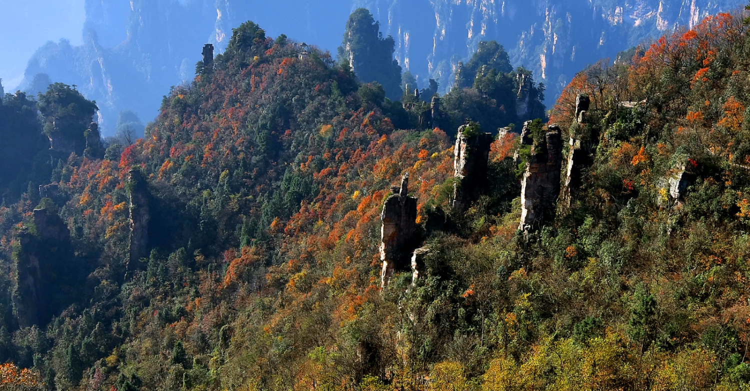 西海秋色