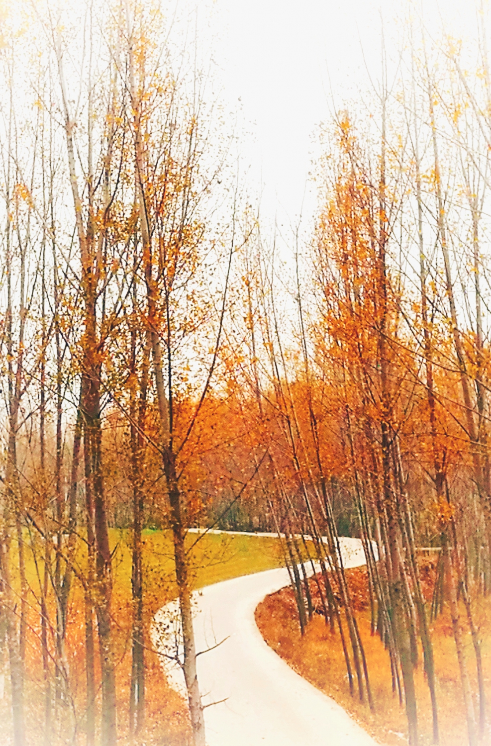 写意画【手机】