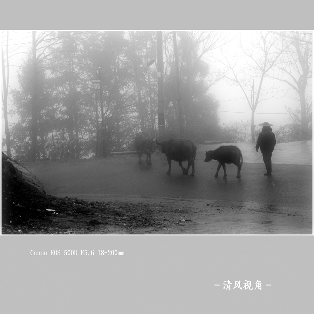 牧归_0843