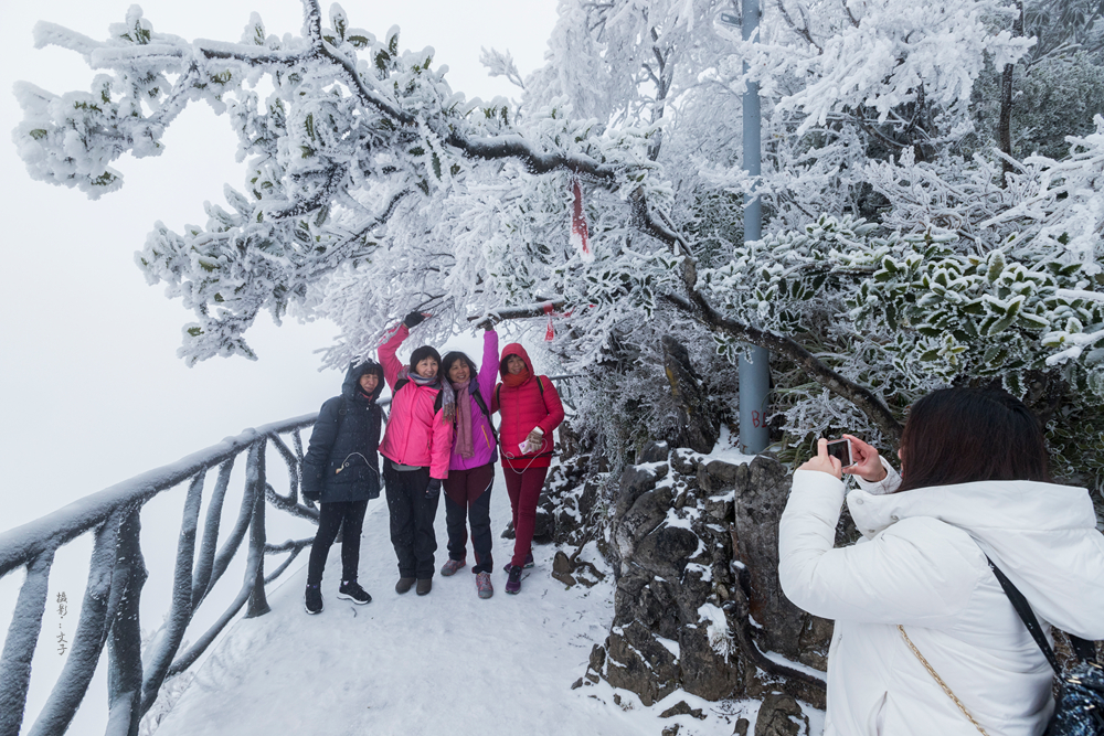 雪景中美拍