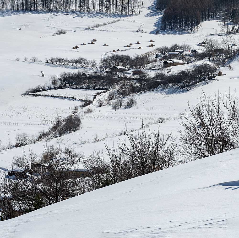昨日雪村