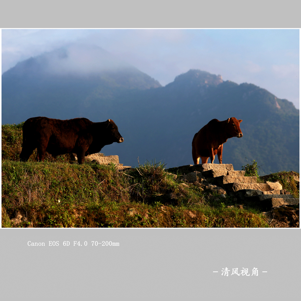 身边随拍_8115
