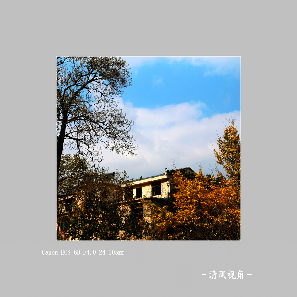 无题