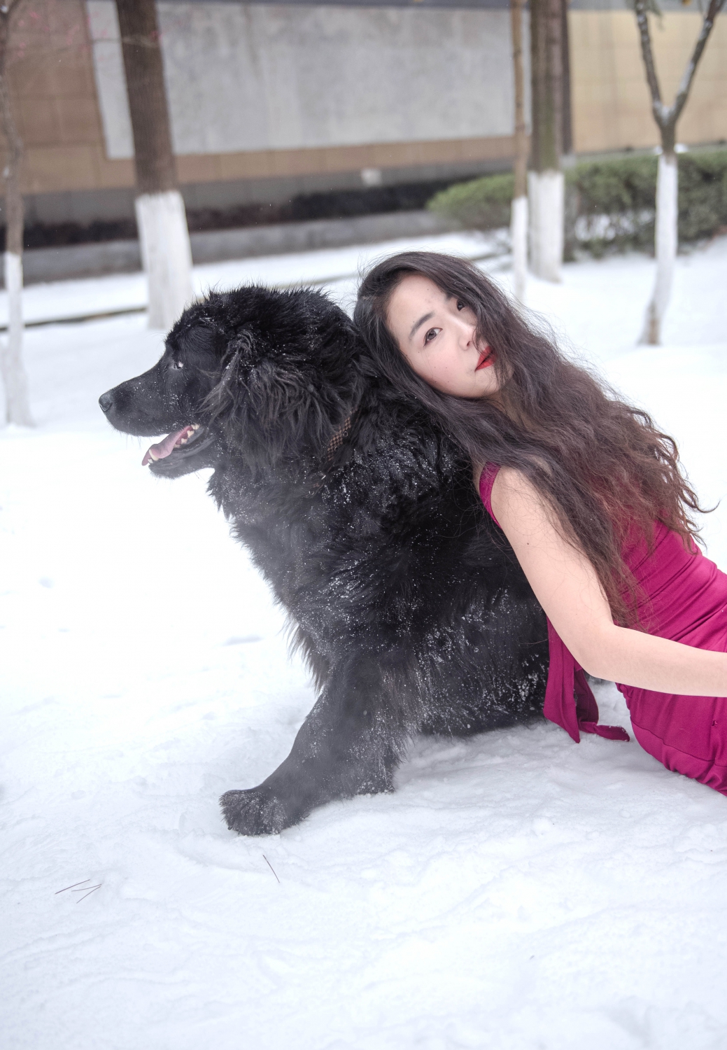 雪。佳丽【二】