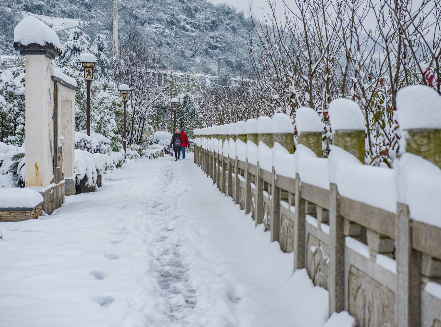 风雪早行人