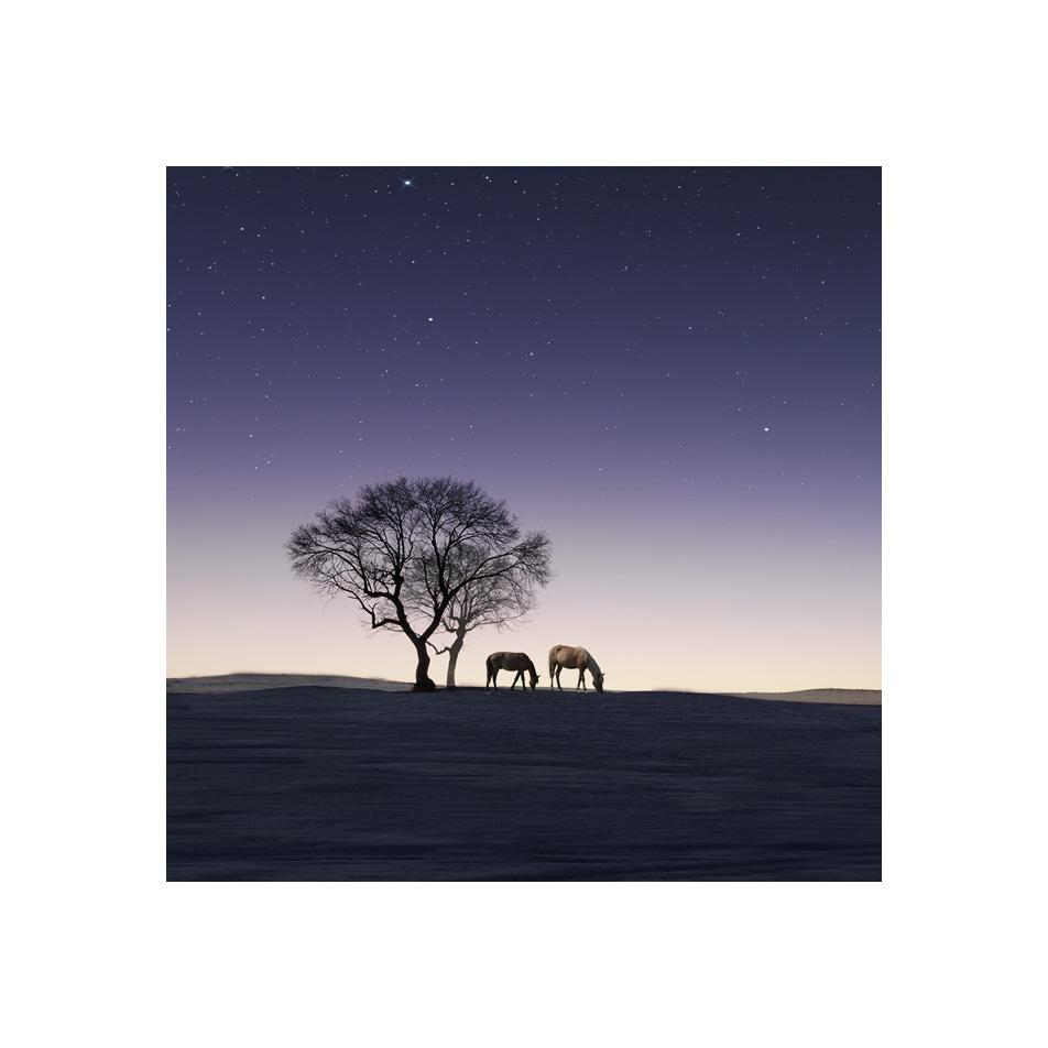 夜空
