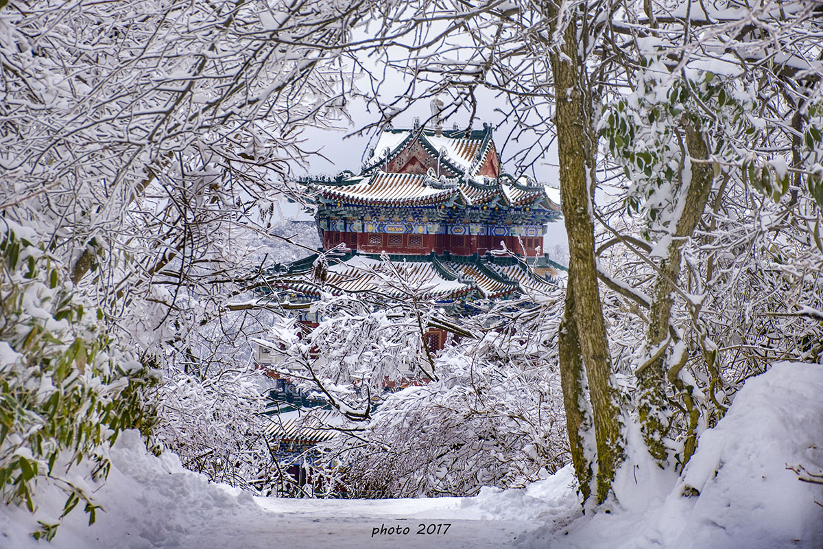 林中阁楼