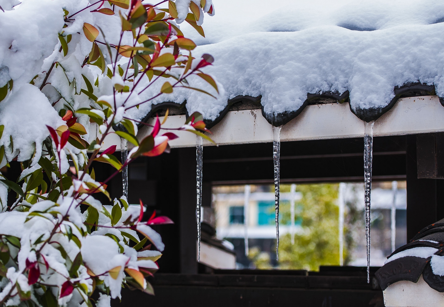 冰雪印象