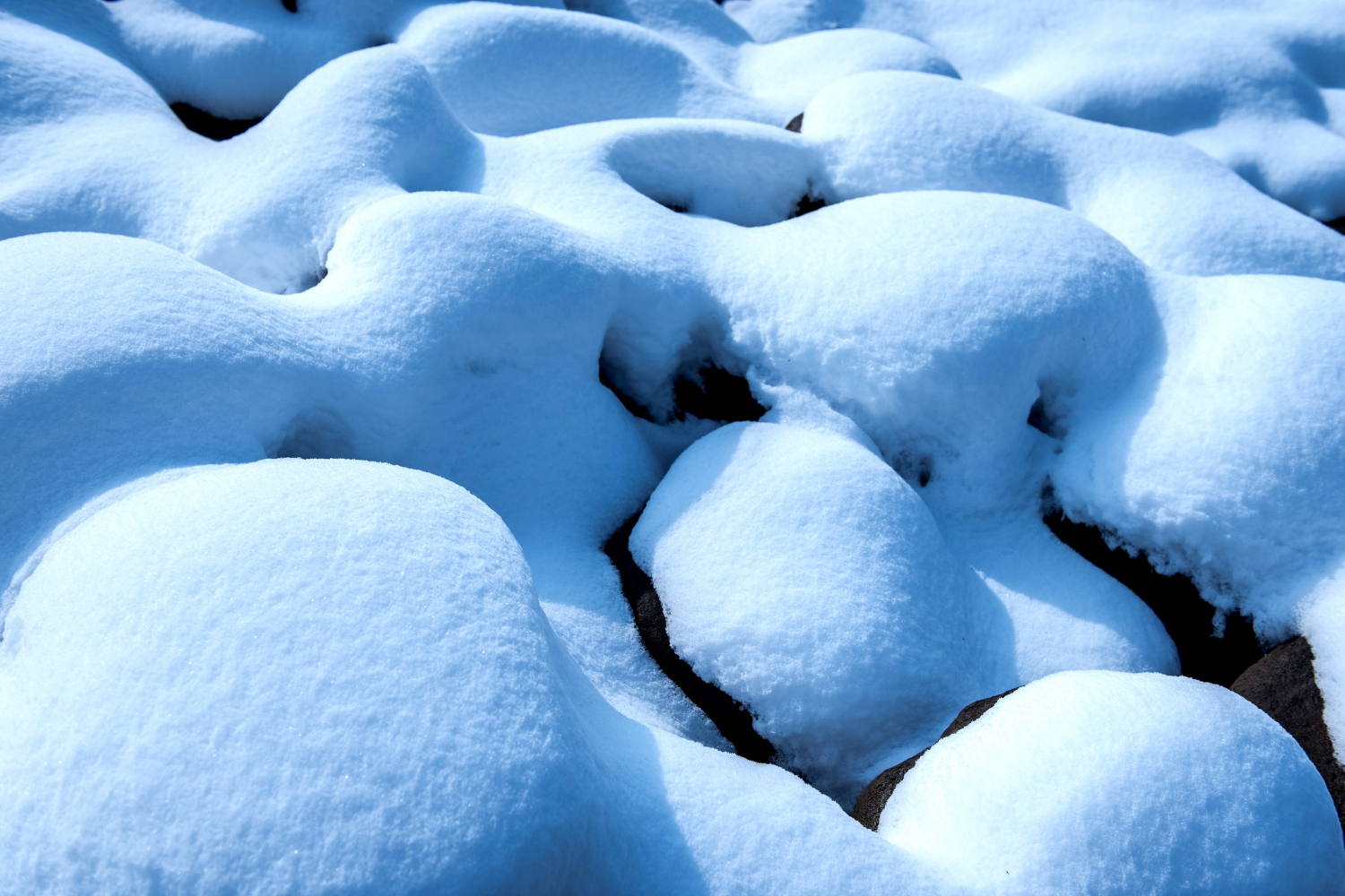 雪霁【一】