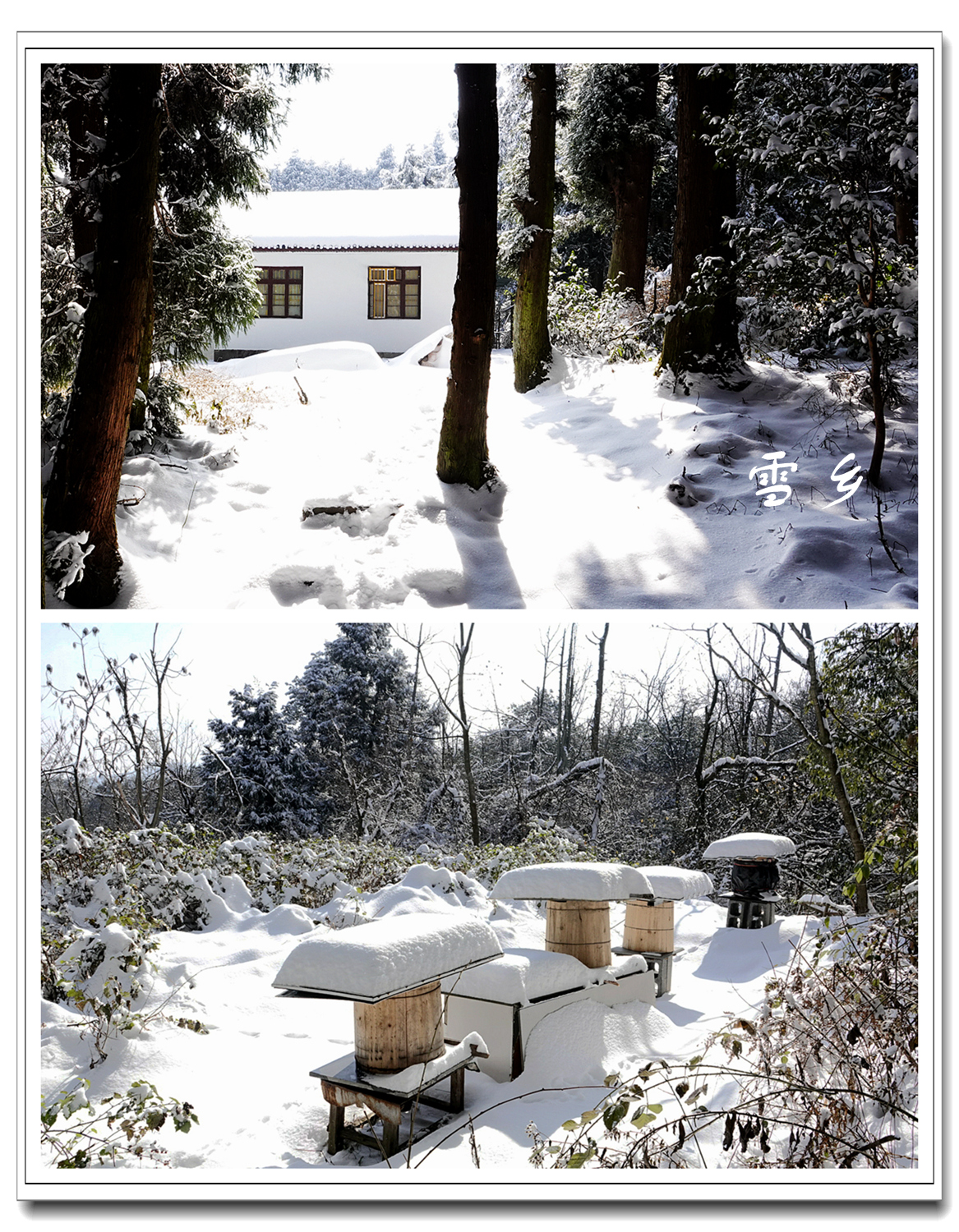 雪 乡4