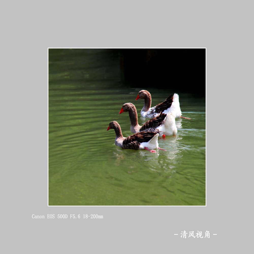 无题_5286
