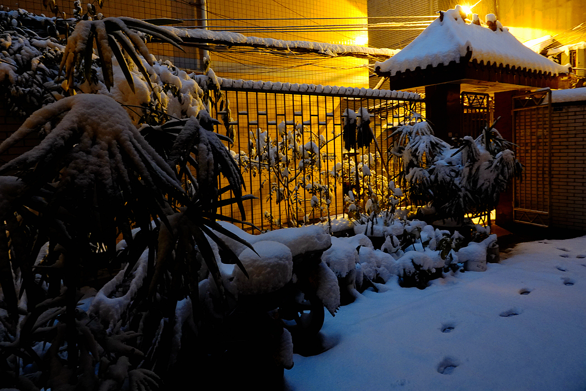 雪 乡5