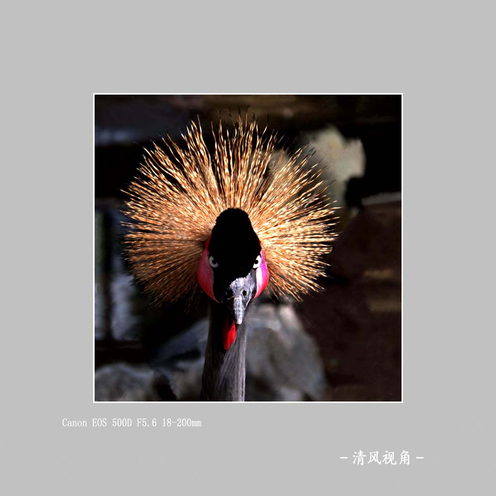 无题_5260
